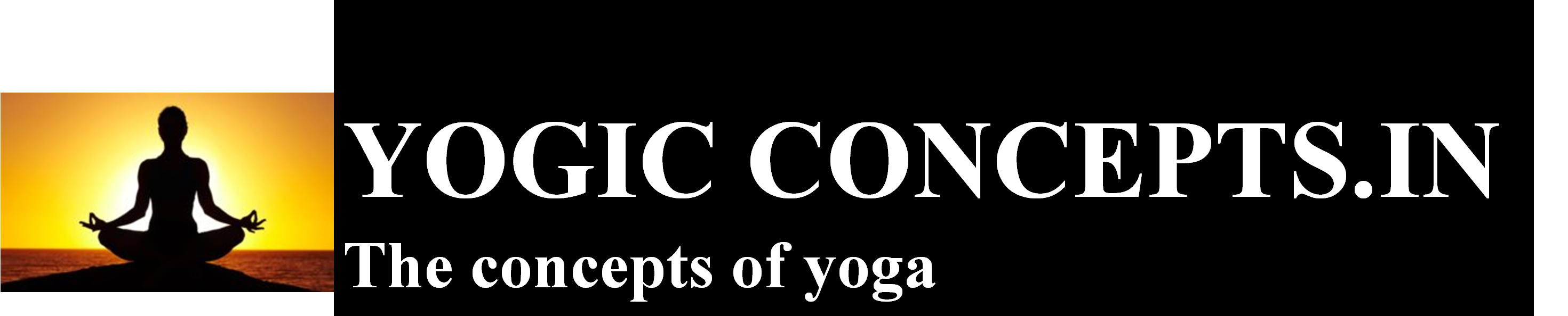 YOGIC CONCEPTS